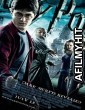 Harry Potter 6 And The Half Blood Prince (2009) Hindi Dubbed Movie BlueRay